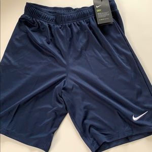 Nike Dry Fit training shorts